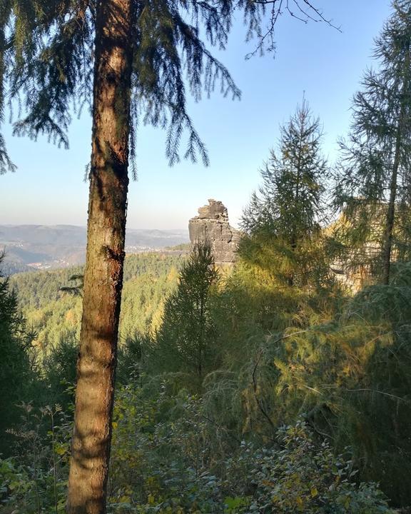 Bergwirtschaft Papststein